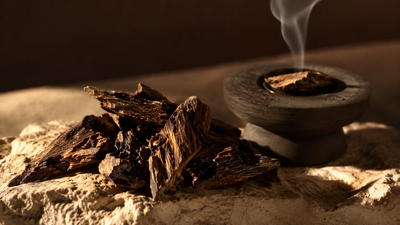 Copeaux de bois de oud résineux près d'un brûleur, fine fumée d'encens dans une ambiance zen et dorée